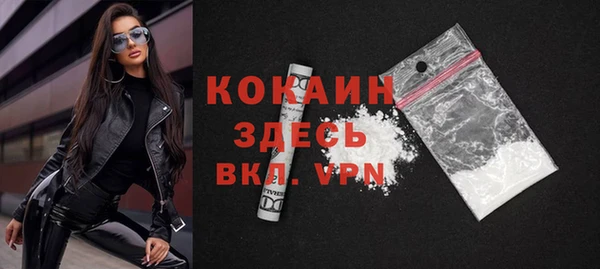 стаф Надым