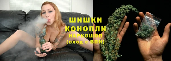 стаф Надым