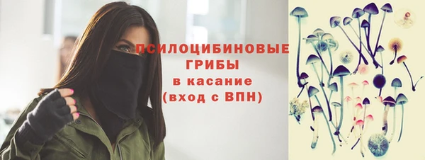 стаф Надым