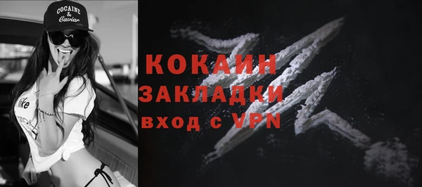 хмурый Нея