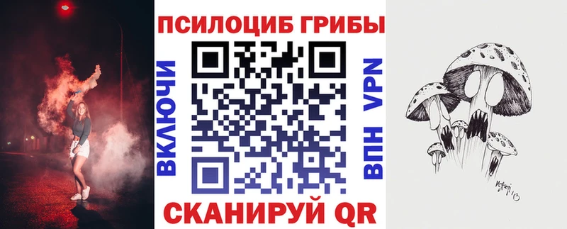 купить  цена  Ярцево  Псилоцибиновые грибы Magic Shrooms 
