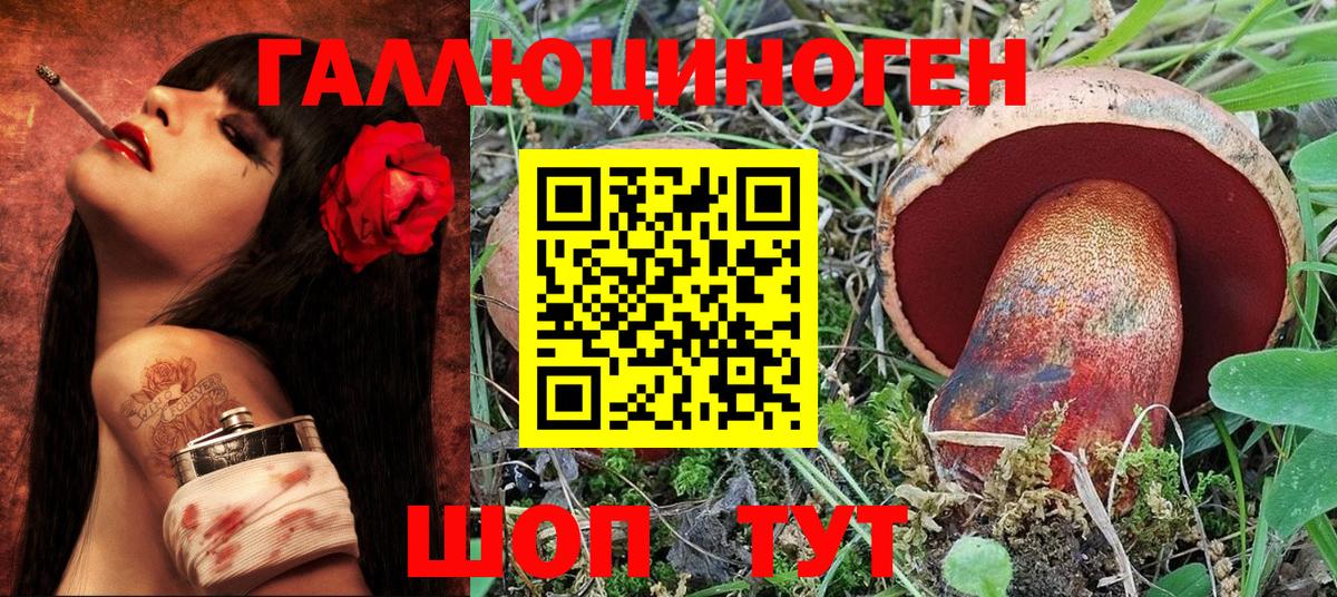 Галлюциногенные грибы Psilocybe Ярцево